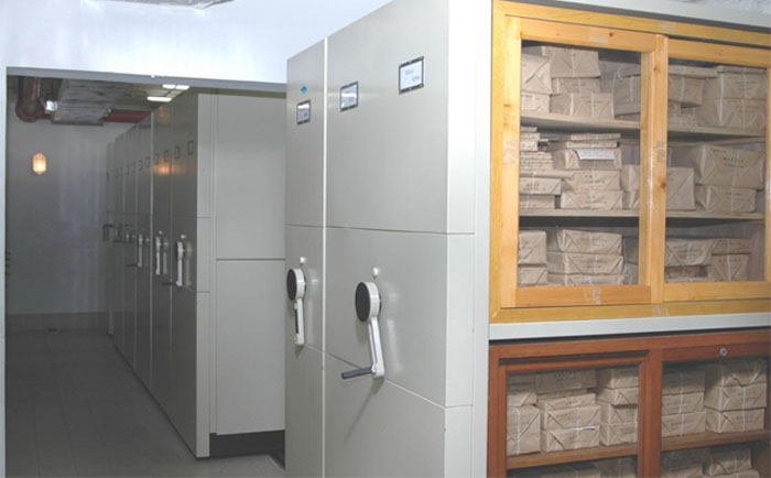 ^Ʒܼ܏S^ƷܼИ(bio)Ʒơ